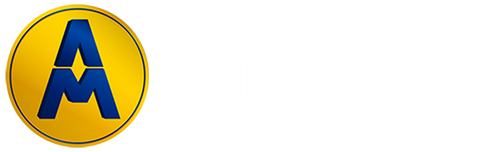 MEDINA AUTOPARTES